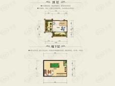 欧浦花城别墅 DH3户型户型图