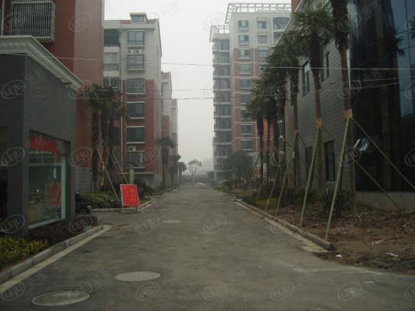 社区实景