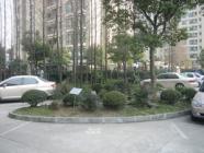 大闻丽都苑