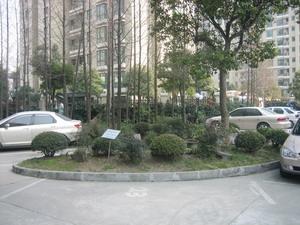 大闻丽都苑