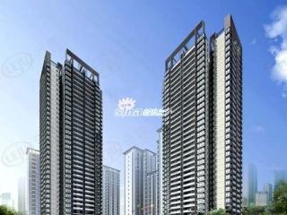 东海岸聚点