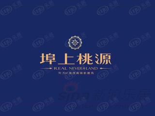 埠上桃源