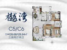 宏维星湖湾C5 C6户型户型图