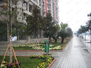 生活立方