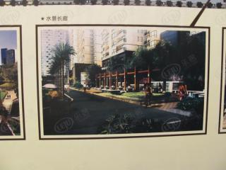 五洲国际