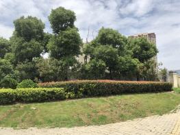 香港嘉华南站G89地块社区实景