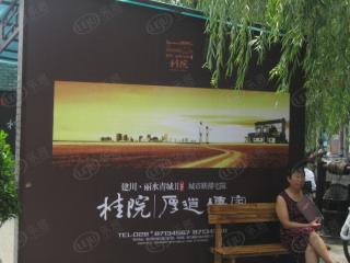建川·丽水青城三期