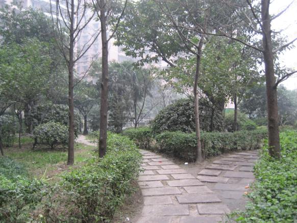 社区实景