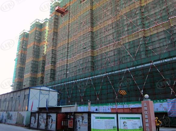 社区实景