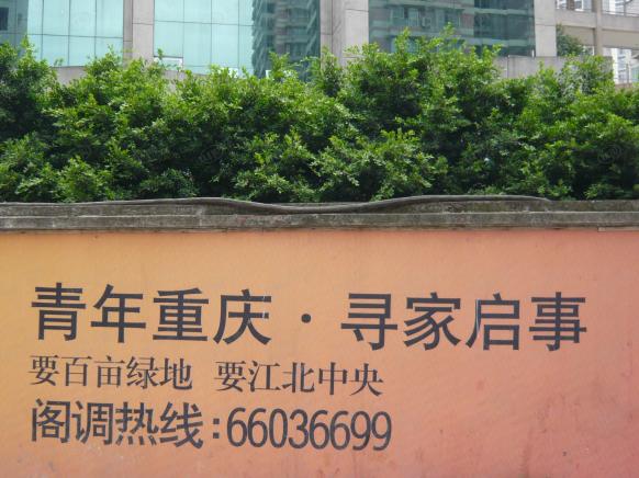 效果图