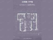 十二院城34号楼P户型户型图