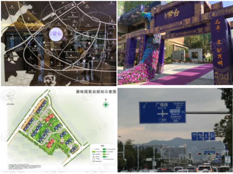 碧桂园紫台 图解看房