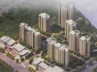 新华府
