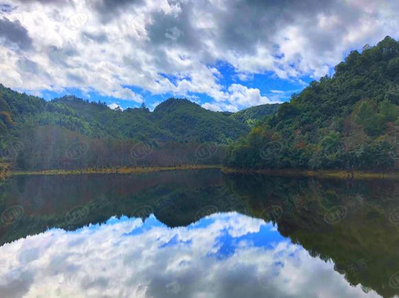 社区实景