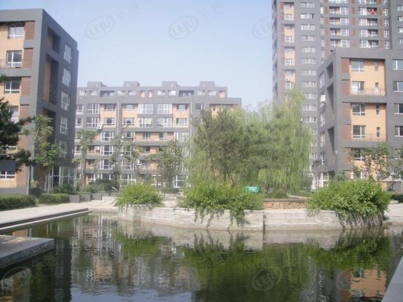 社区实景