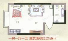 鑫苑·望江花园二期一室一厅一卫36.89m2户型图