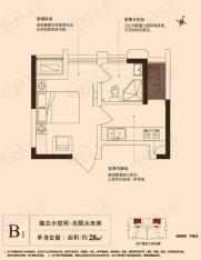 优活华庭28平米一室0厅一卫户型图