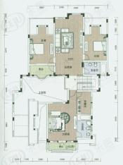 新湖·香格里拉房型: 单栋别墅;  面积段: 230 －340 平方米;户型图