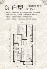 万达公馆C3户型户型图