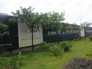 天晟海拔东方