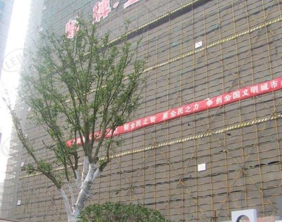 社区实景