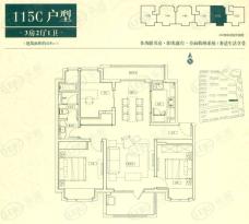 万科城花新园115平C户型户型图