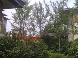万科润园社区实景