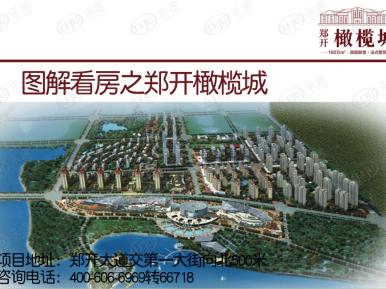 郑开橄榄城