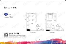 台江商都汇48平米G户型户型图