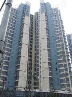 社区实景