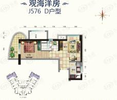 碧桂园滨海城观海洋房 J576 D户型 一室一厅一卫50.10平方米户型图