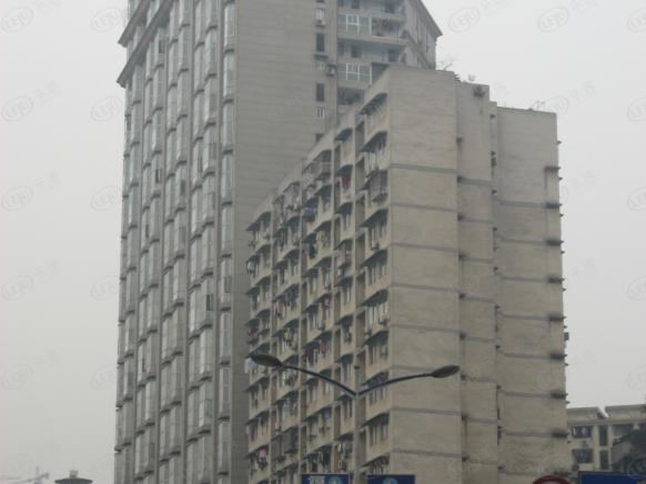 社区实景