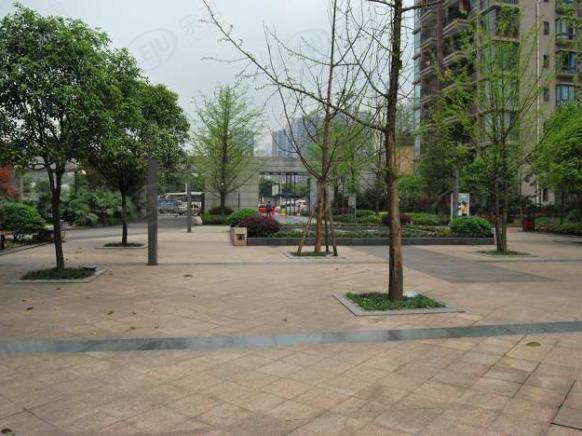 社区实景