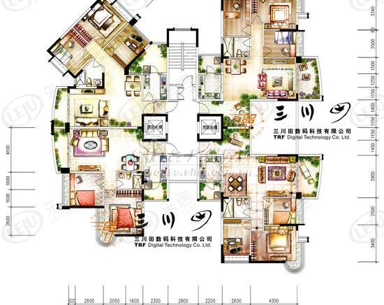 楼层平面图