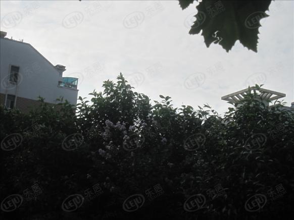 社区实景