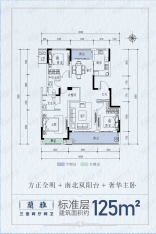 蓝城蘭园3室2厅2卫户型图