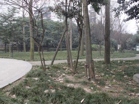 社区实景
