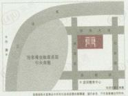东晶国际