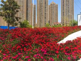 越秀星悦湾畔社区实景