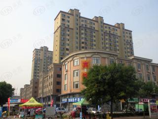 上海大都汇