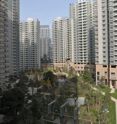 社区实景
