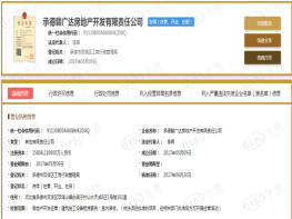 碧桂园朗悦湾营业执照