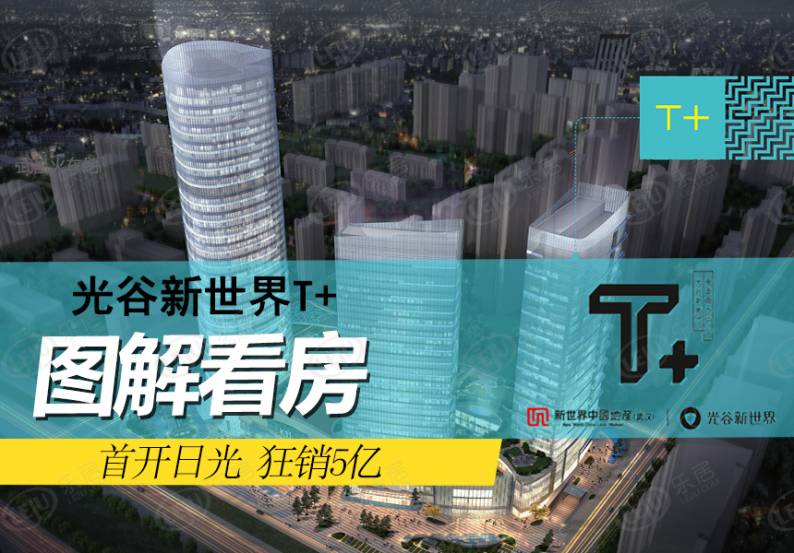光谷新世界T+ 图解看房