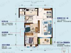 碧桂园滨海城2室2厅1卫户型图