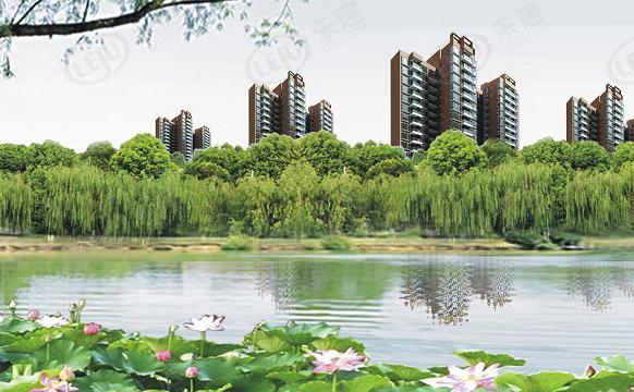 效果图
