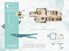 桂林大龙府C1户型户型图