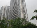 社区实景