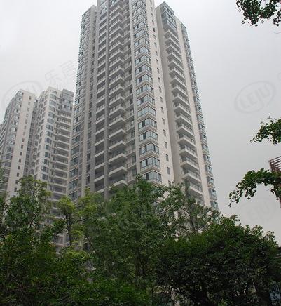 社区实景