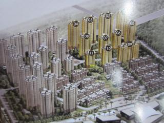 鼎基·丽湾域