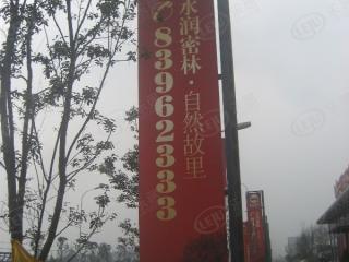 福茂红树林